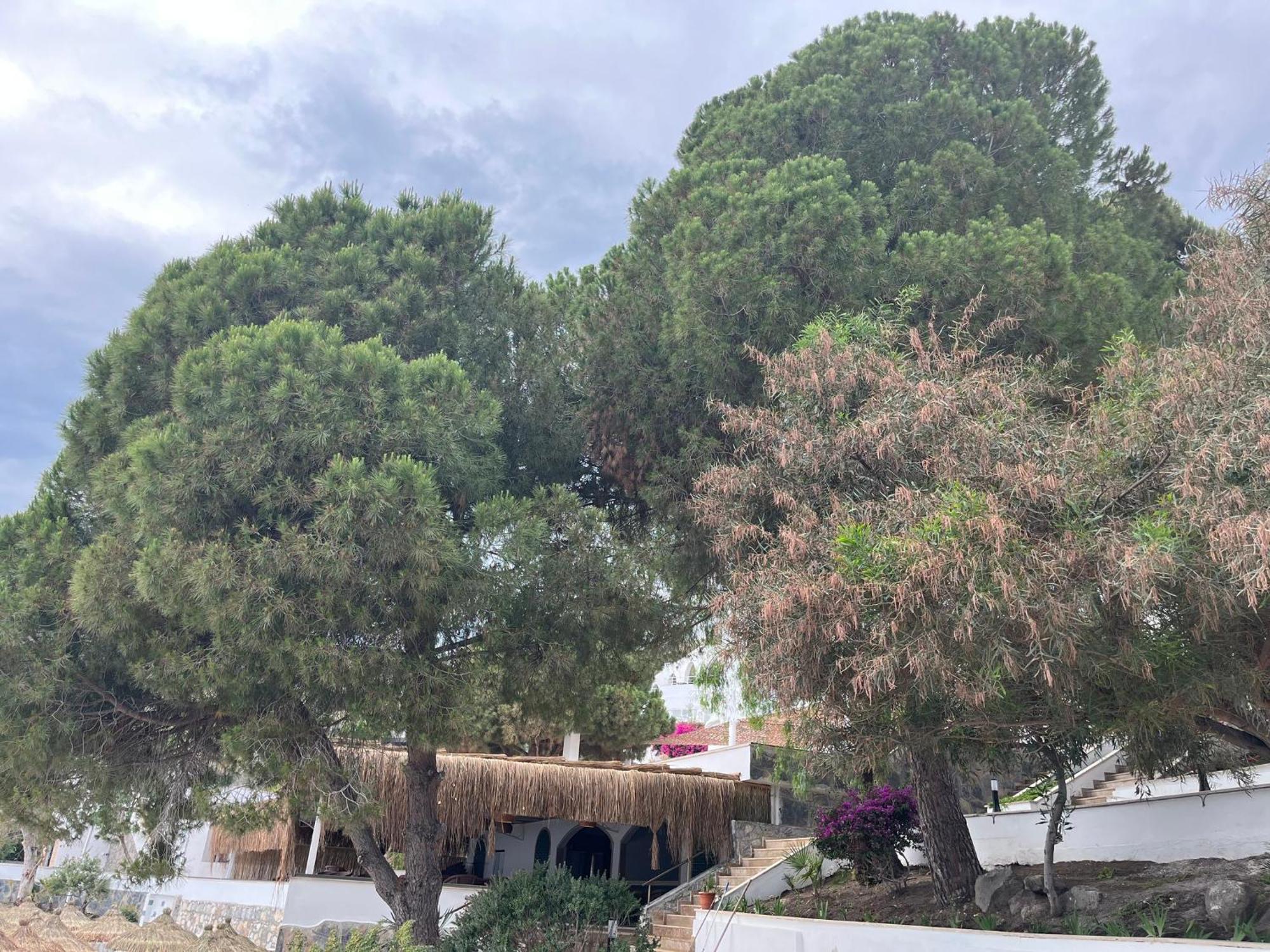 Holiday Inn Resort Bodrum By Ihg Exteriör bild